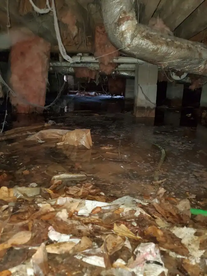 Crawl space flood assessment for Leak Detection & Repair in Amory