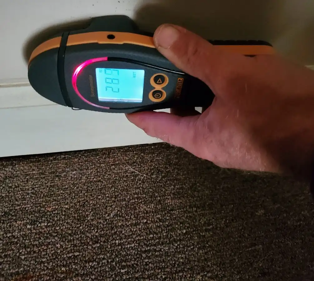 Moisture detection at baseboard during Mold Inspection & Testing in Amory